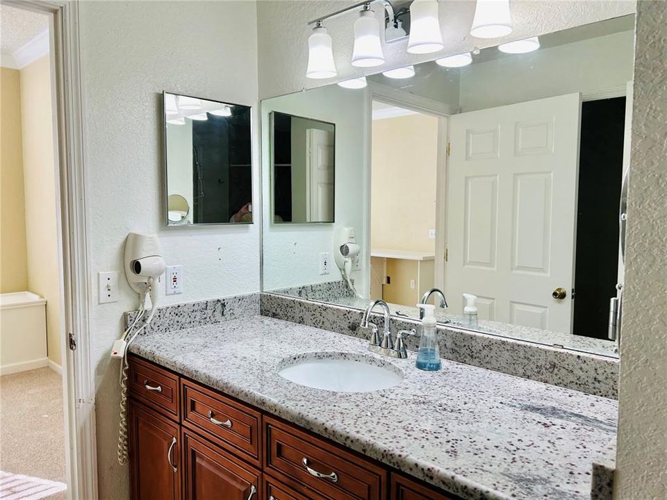Upgraded/updated Primary Bath vanity with Granite countertops