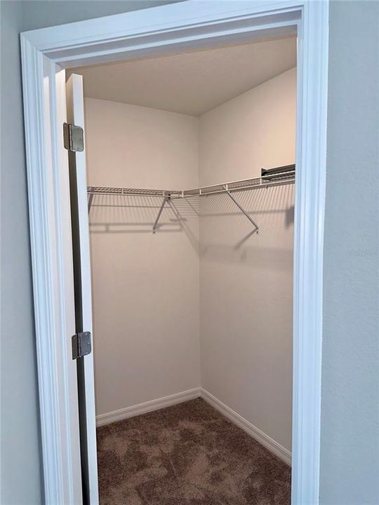 Guest Bedroom Walk-in Closet