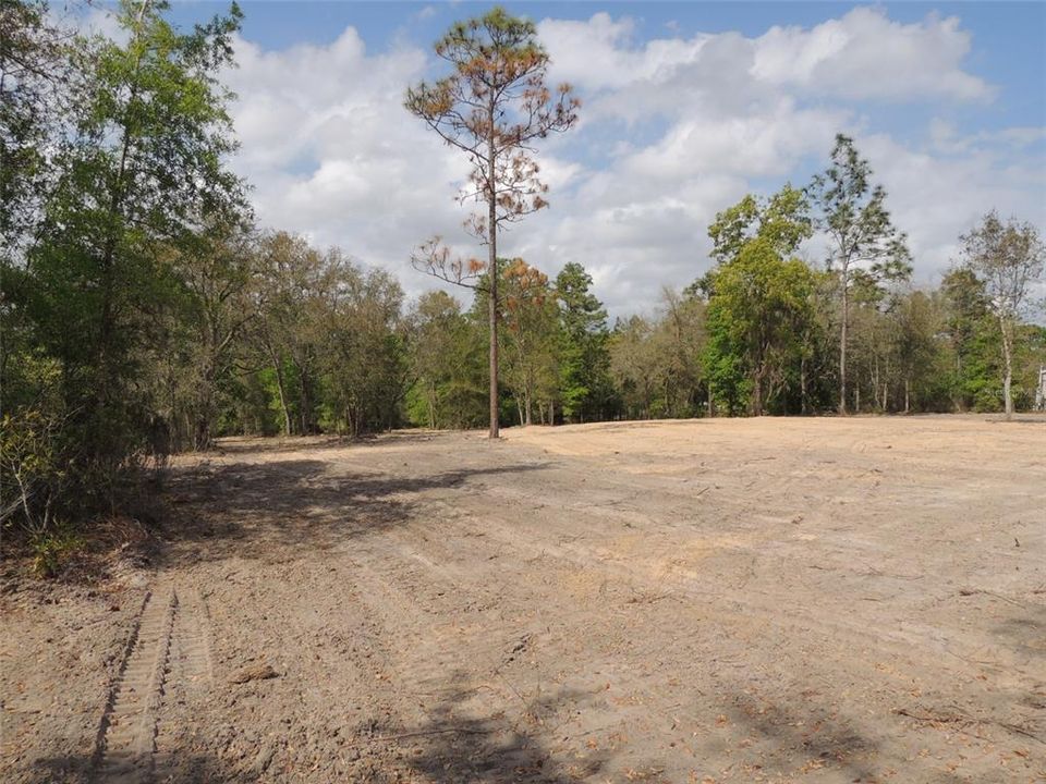 For Sale: $35,000 (1.25 acres)