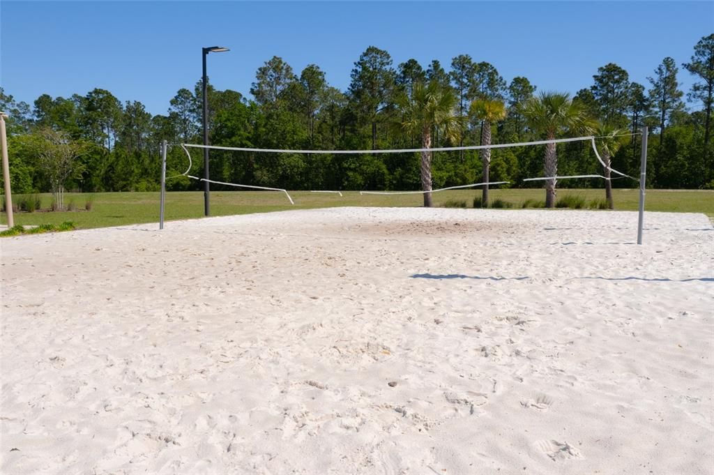 Community Volleyball