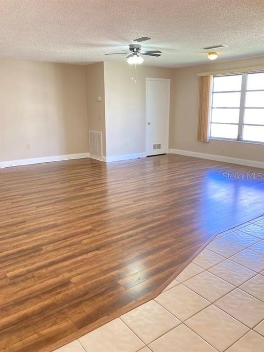 Living room and dining room