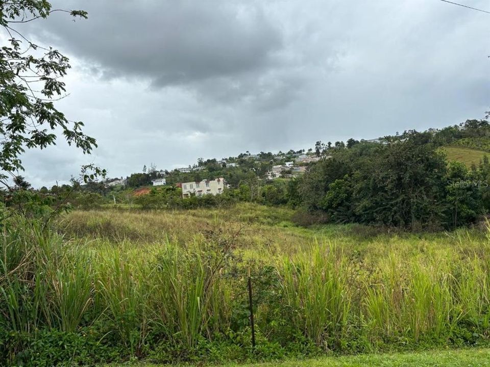 En Venta: $85,000 (1.57 acres)