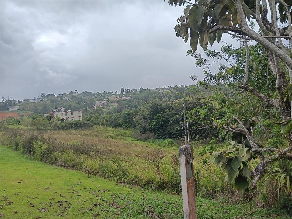 En Venta: $85,000 (1.57 acres)