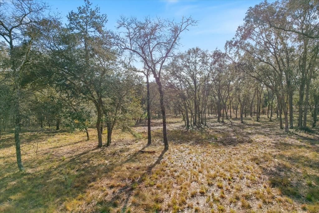 Recently Sold: $235,000 (10.07 acres)