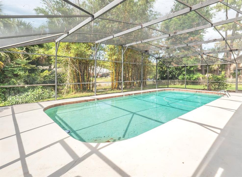 Expansive Pool Deck