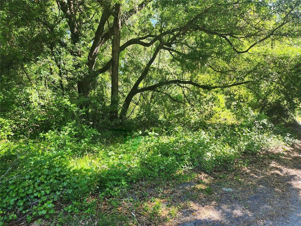 Recently Sold: $20,000 (0.22 acres)