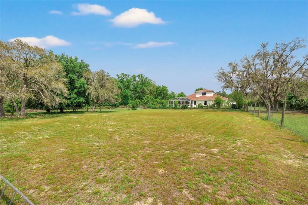 Fully Fenced Pasture