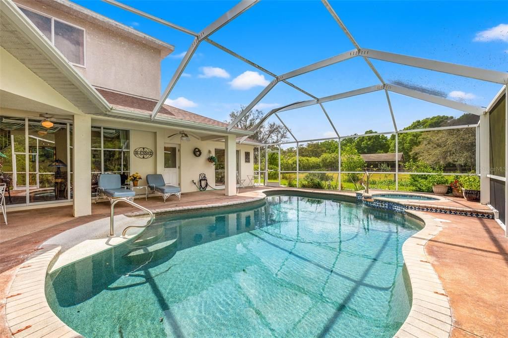 Stunning Pool Area with Spa