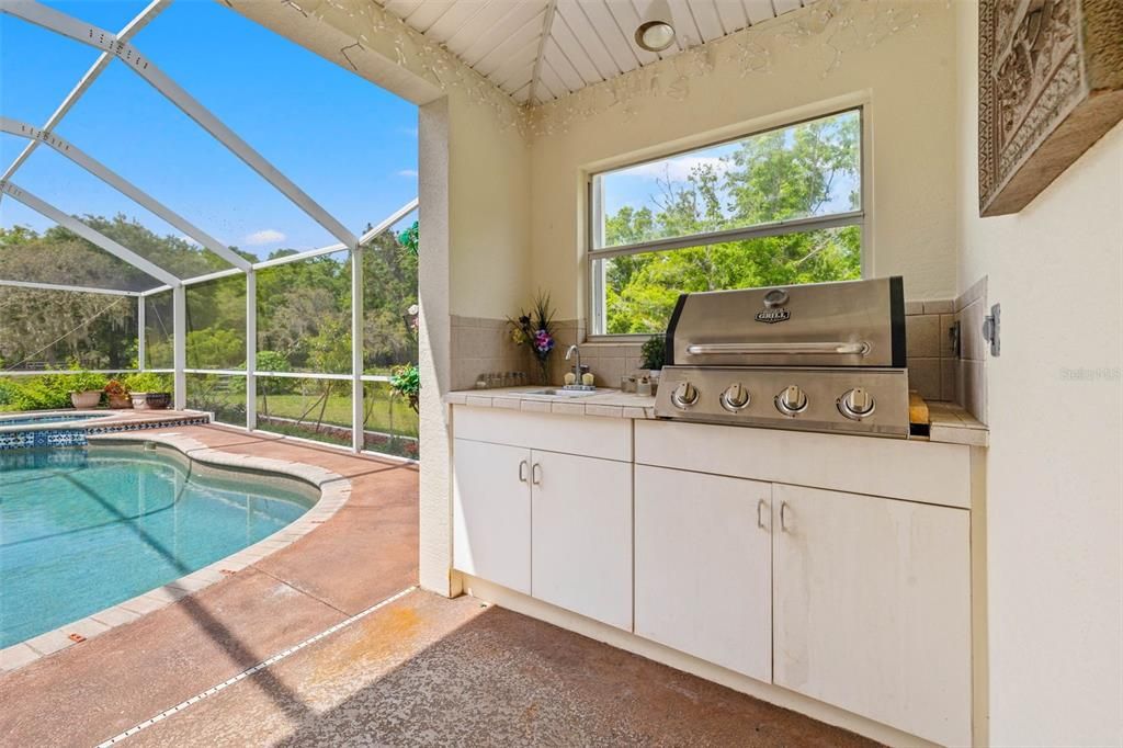 Outdoor Kitchen with NEW Grill