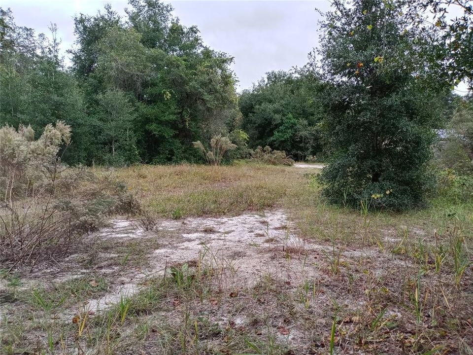 Active With Contract: $240,000 (1.68 acres)