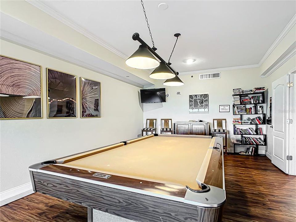 Clubhouse pool/pingpong table