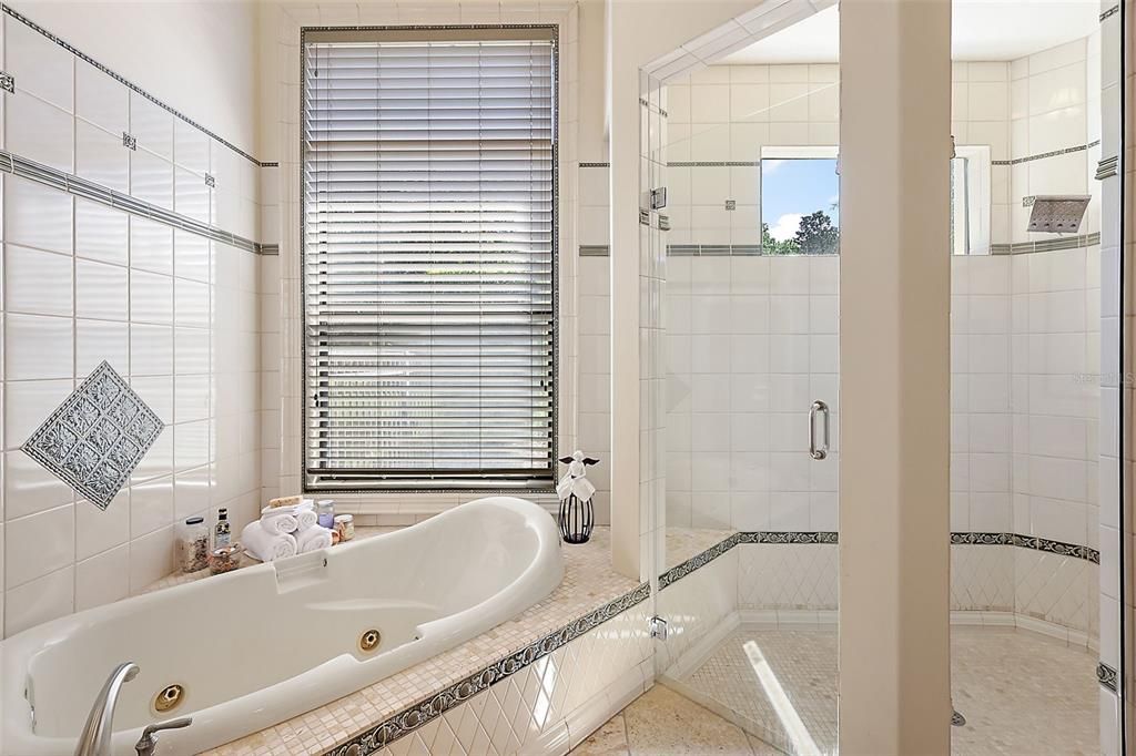 primary bathroom, Jacuzzi tub