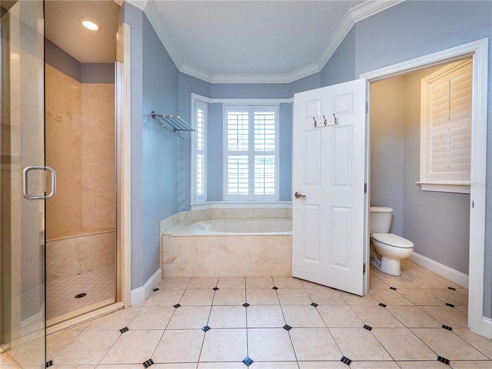 Primary/Master Bathroom with shower and Garden tub