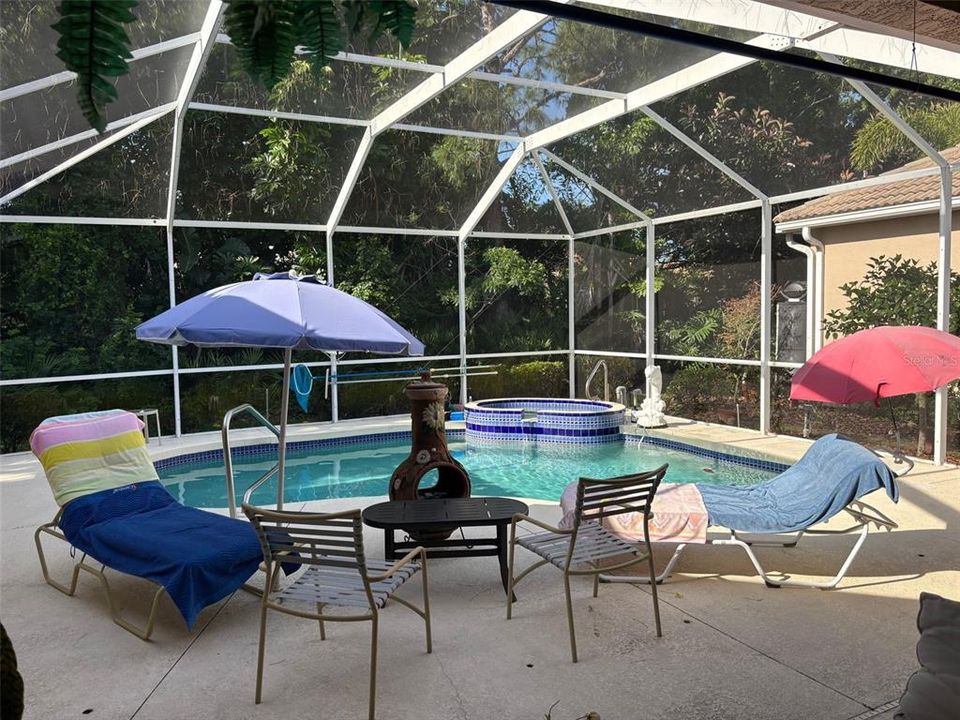 Screened kidney shaped heated pool with screened cage