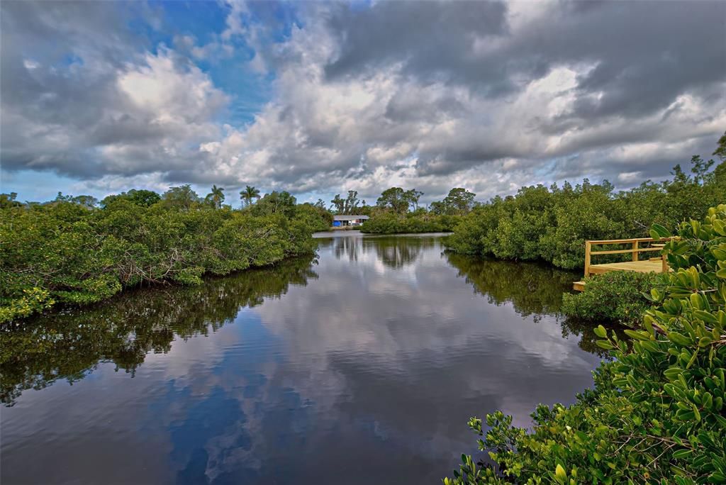 VIEW OF GOTTFRIED CREEK