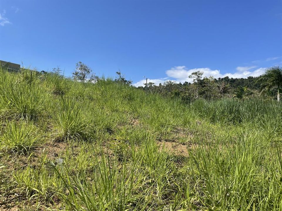 En Venta: $125,000 (0.03 acres)