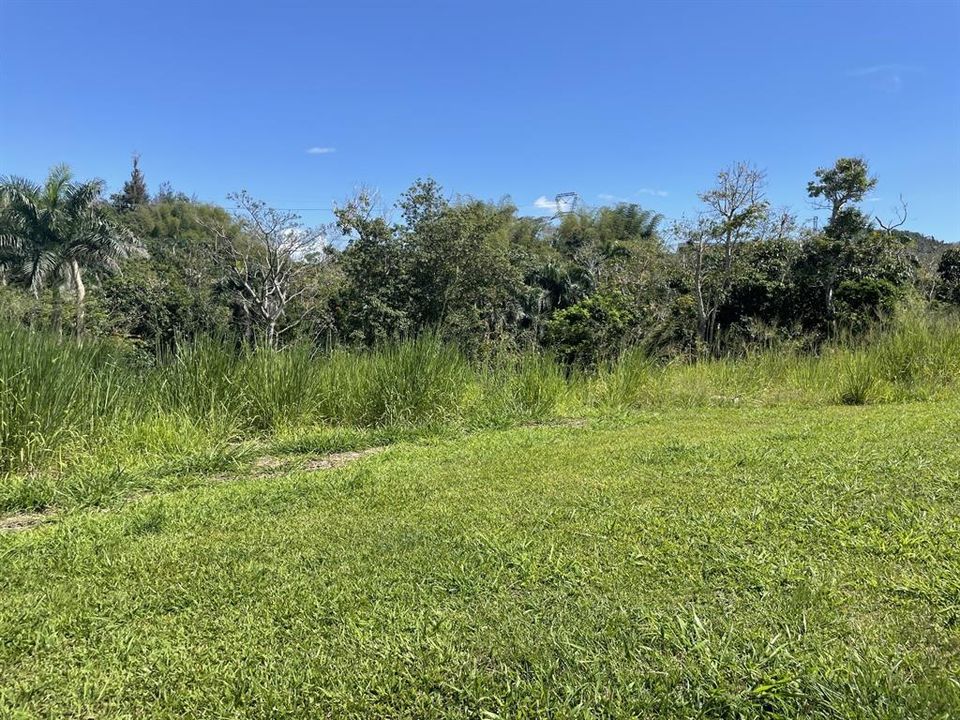 En Venta: $125,000 (0.03 acres)