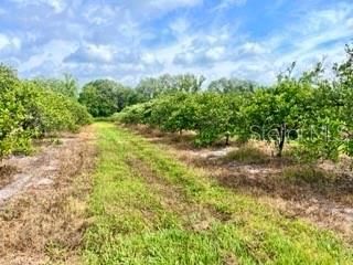 На продажу: $1,775,000 (59.17 acres)