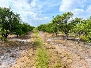 На продажу: $1,775,000 (59.17 acres)