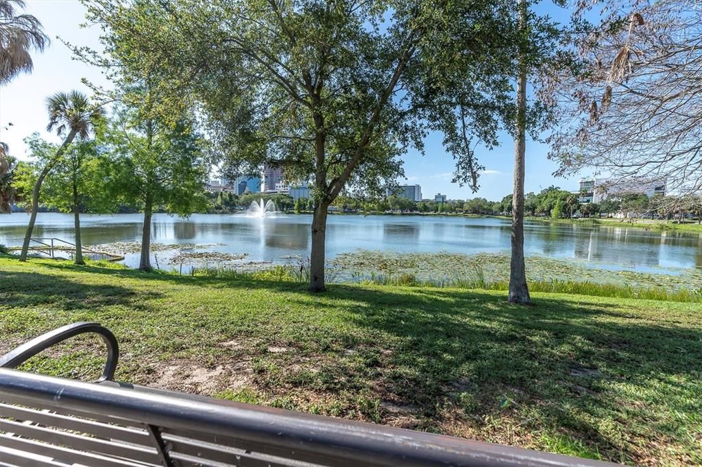 Have a seat, watch ducks and enjoy your morning coffee