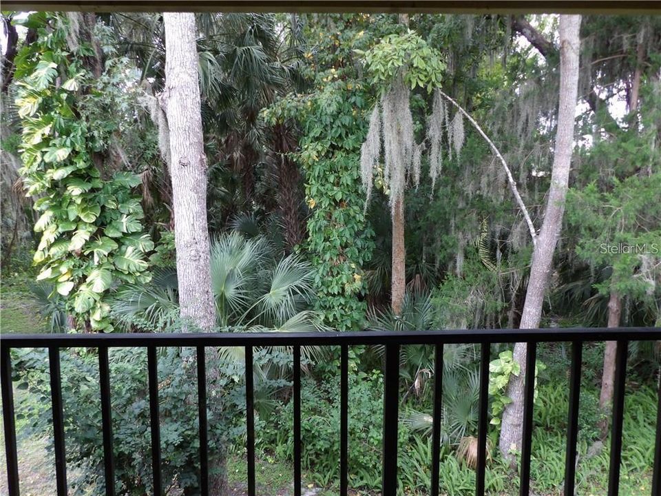 View from the deck