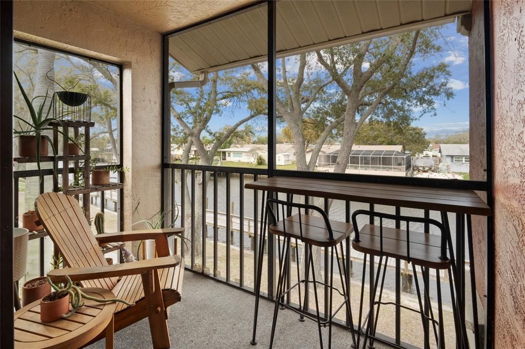 Screened patio off living room