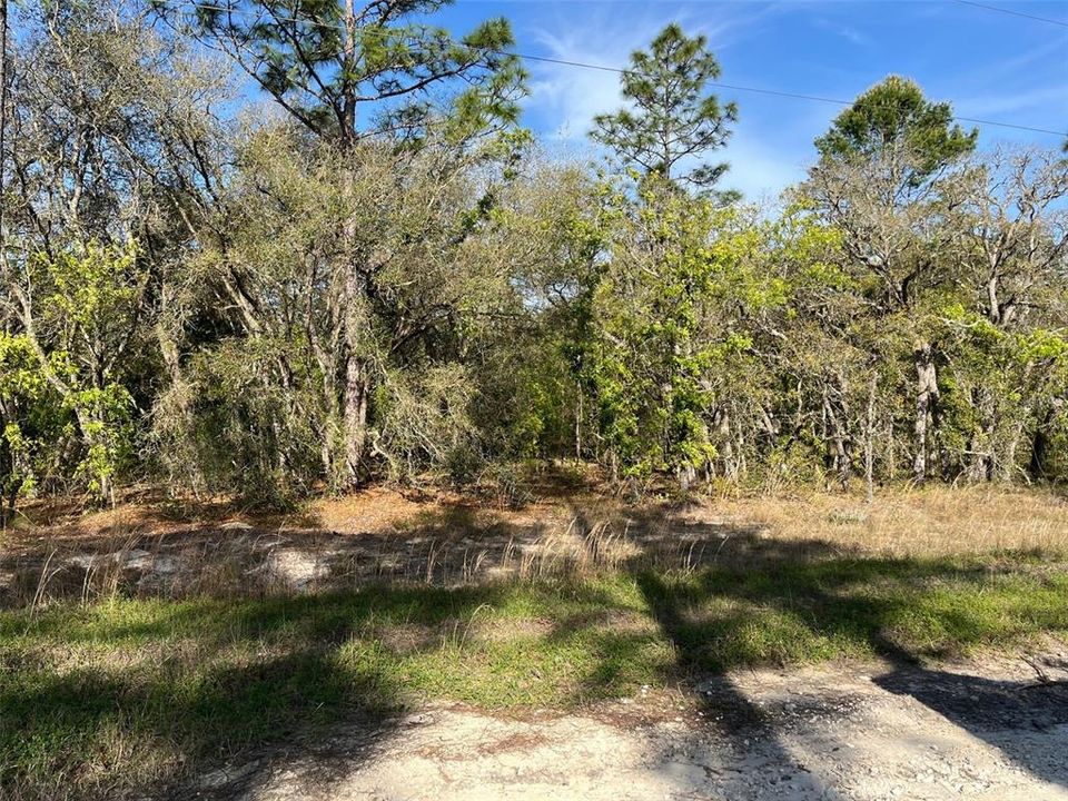 Recently Sold: $35,000 (1.14 acres)