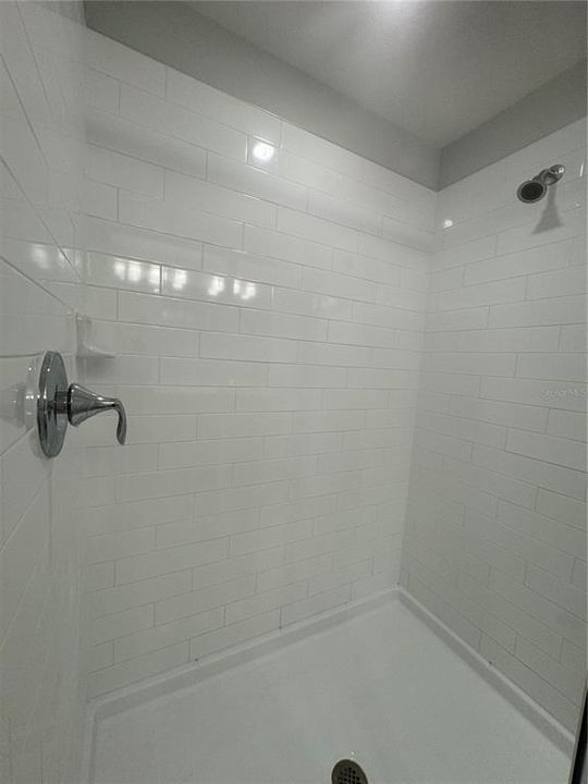 Master Bathroom Shower (Inside)