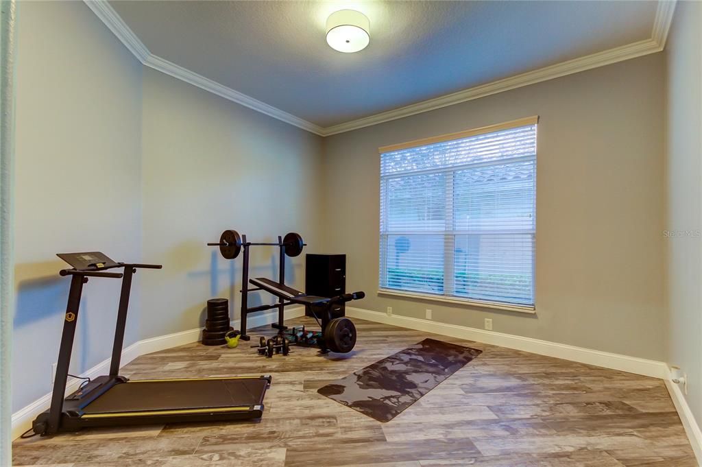 Downstairs study/den off great room.