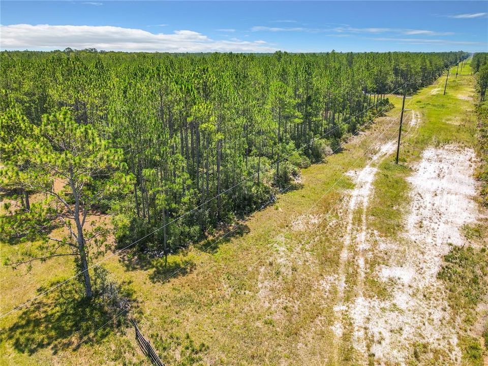 For Sale: $475,000 (40.53 acres)