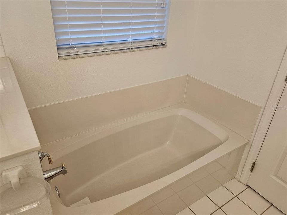 Primary bath gardden tub