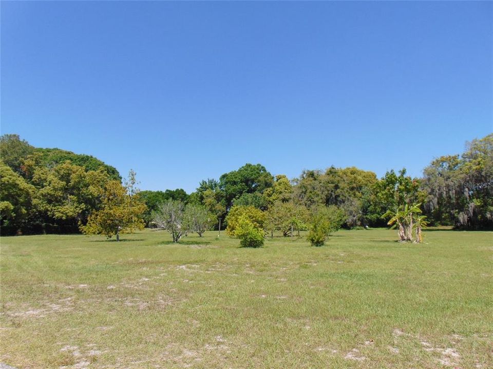 Active With Contract: $285,000 (3.87 acres)