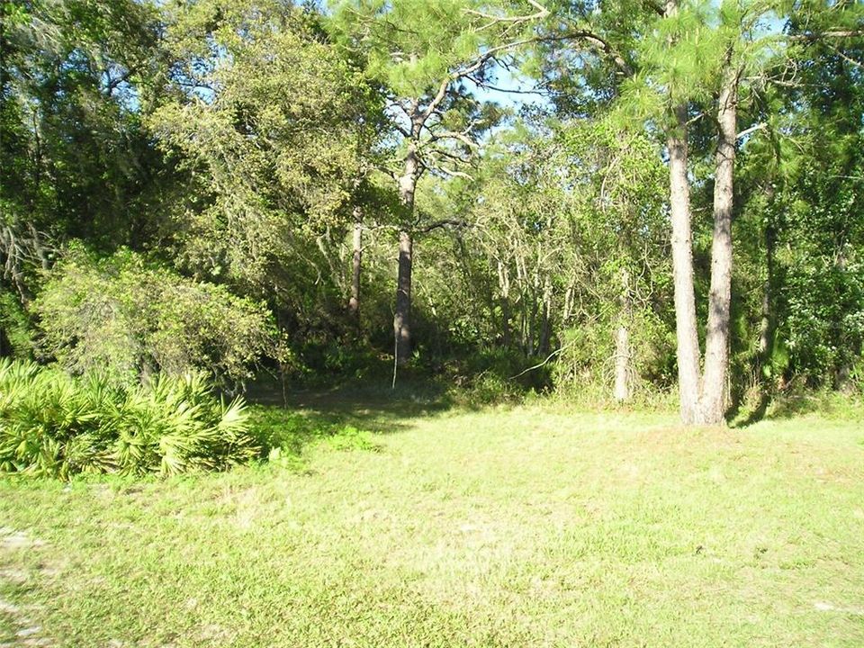 For Sale: $62,500 (1.59 acres)