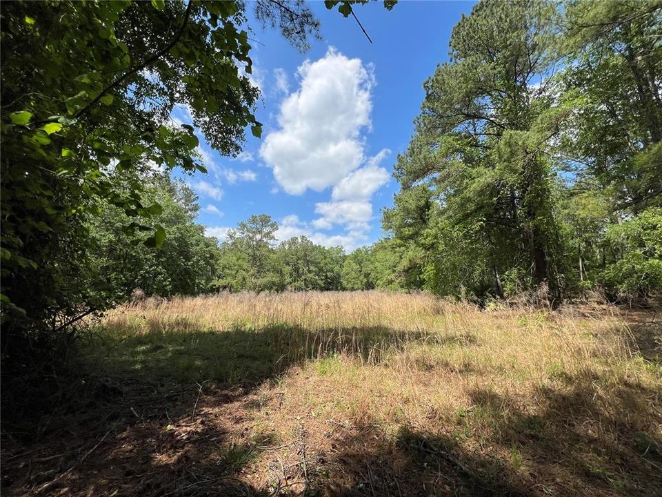 Active With Contract: $68,900 (14.36 acres)
