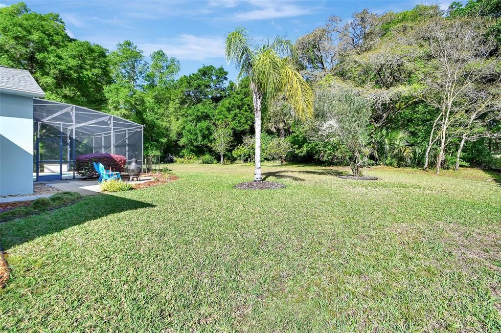 GORGEOUS REAR YARD