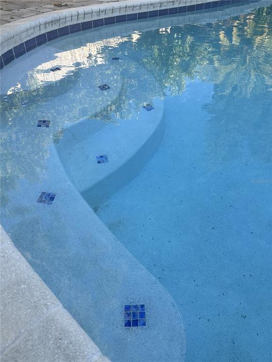 Brand New Tile in Pool