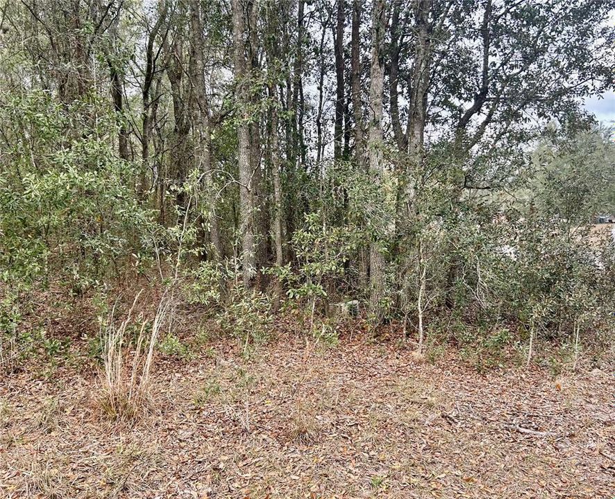 Recently Sold: $99,500 (10.17 acres)