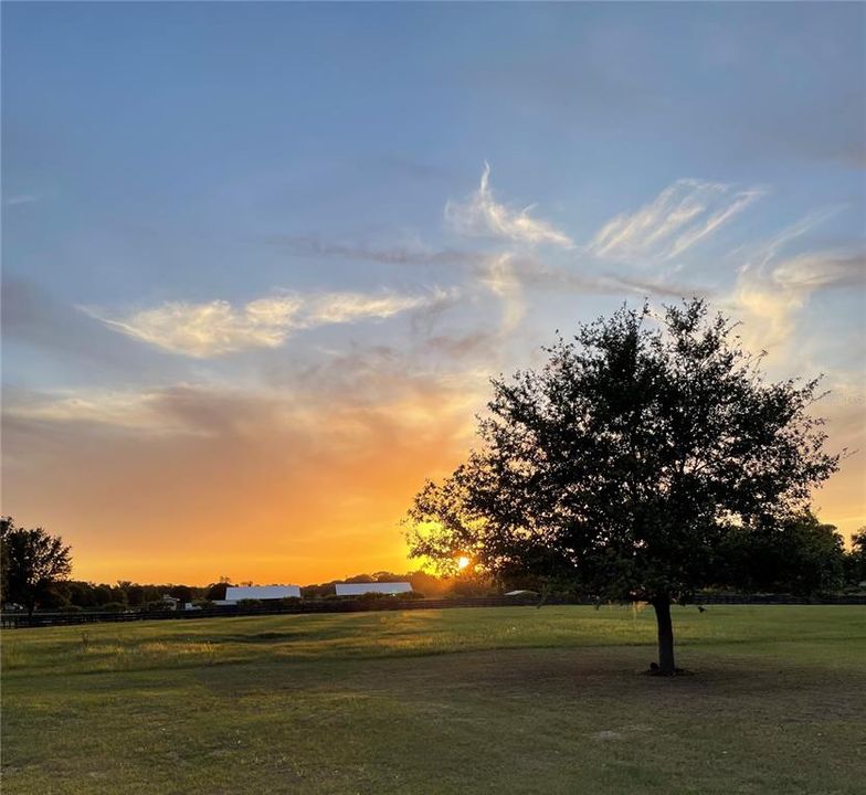 For Sale: $1,795,000 (4 beds, 3 baths, 3067 Square Feet)