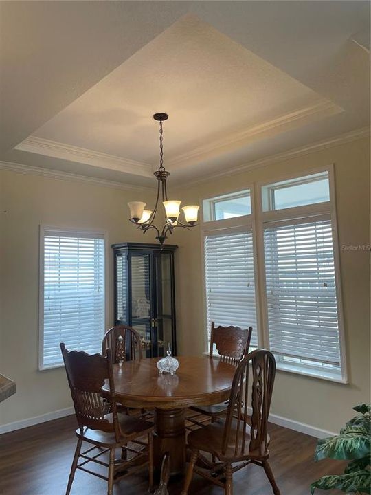 Dining Room with tray Ceiling