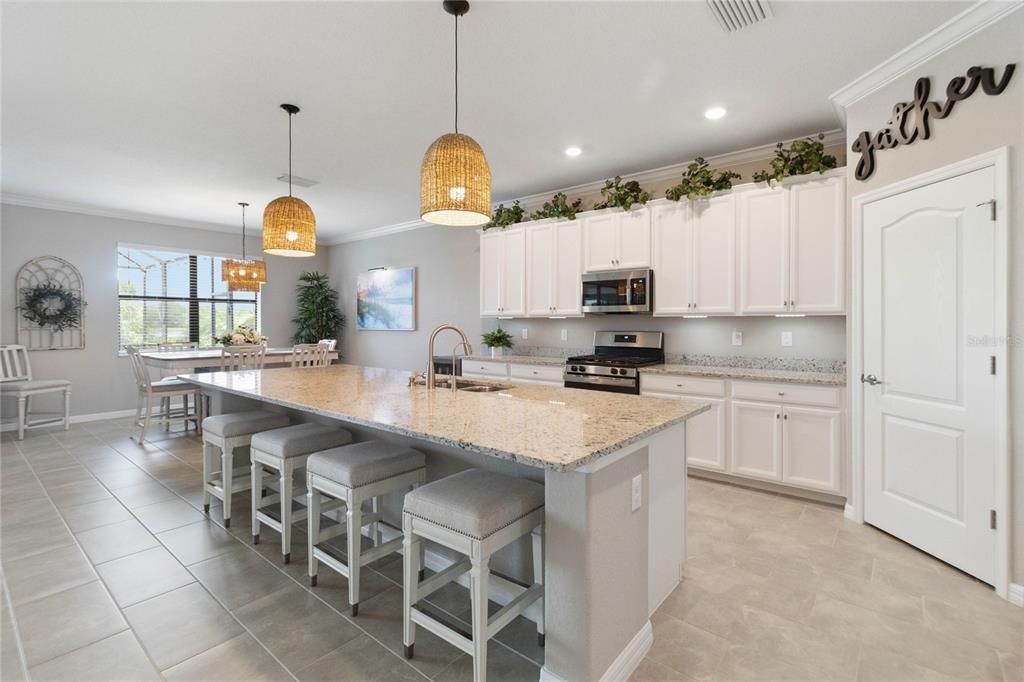 Huge Island, Over-Sized Walk in Pantry, Stainless GE Appliances, and New Light Fixtures