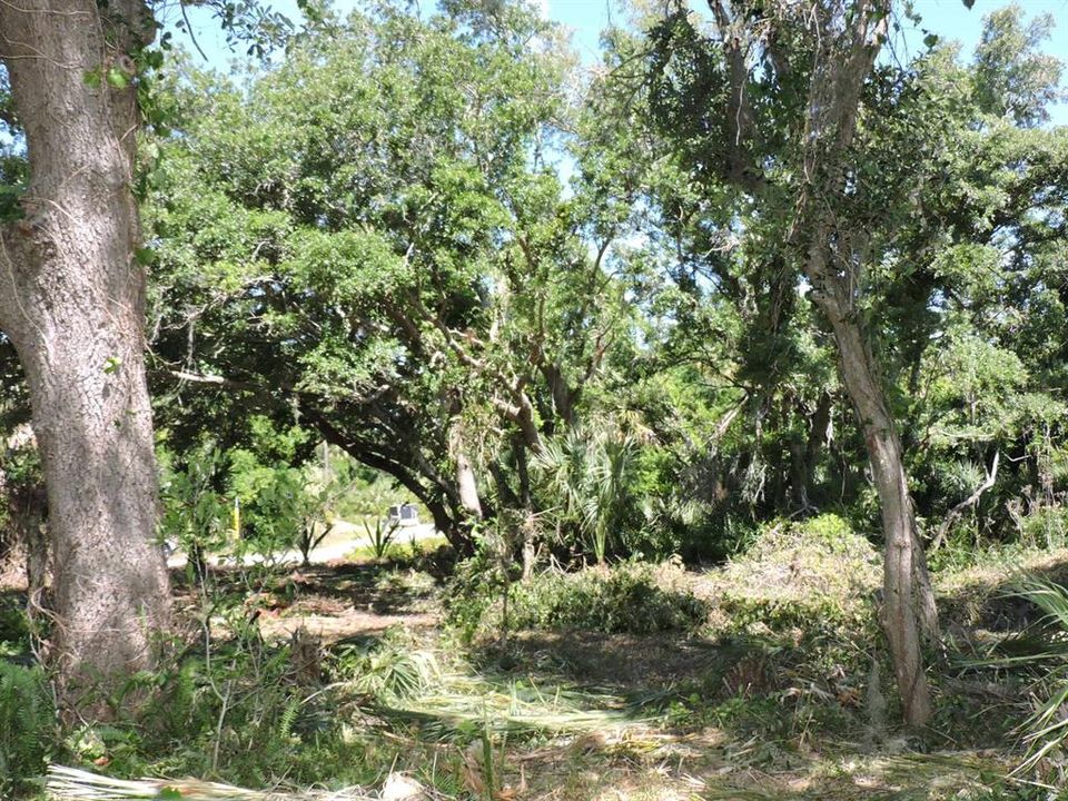Active With Contract: $32,500 (0.45 acres)