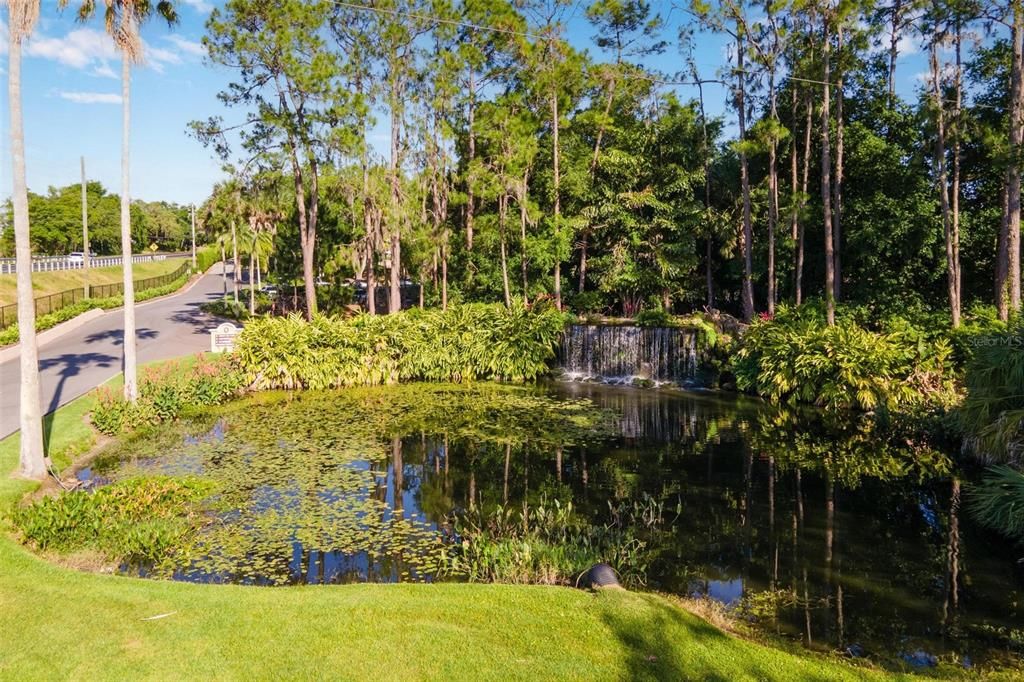 Pond Area with Waterfall