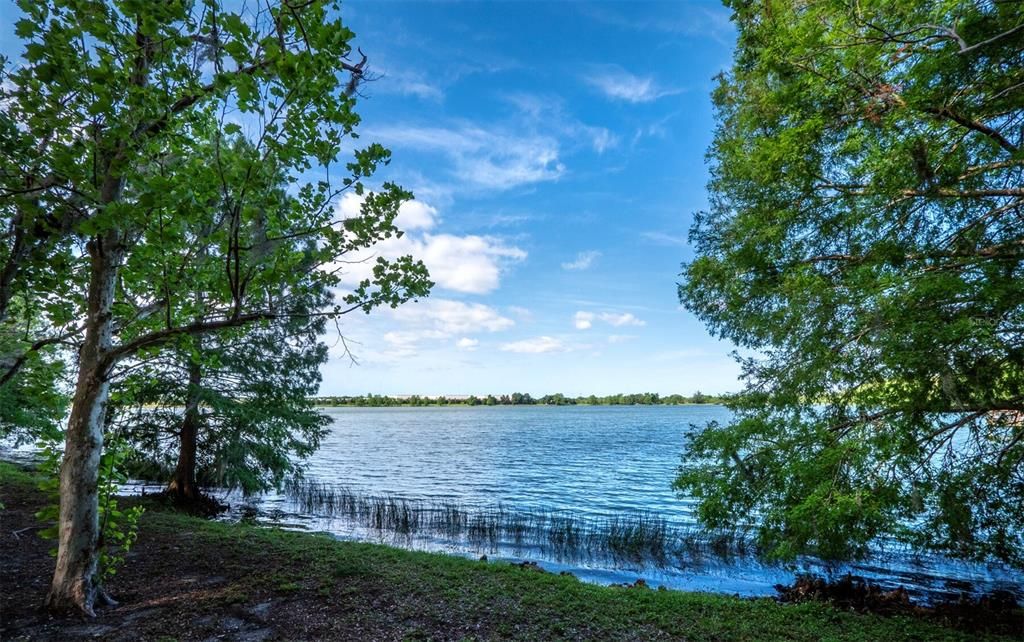 The sparkling community lake