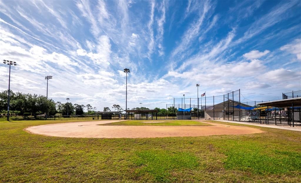 The community ball fields