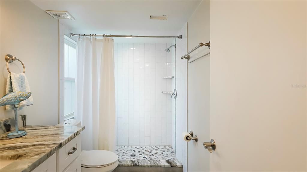 Guest Bathroom with Step-in Shower