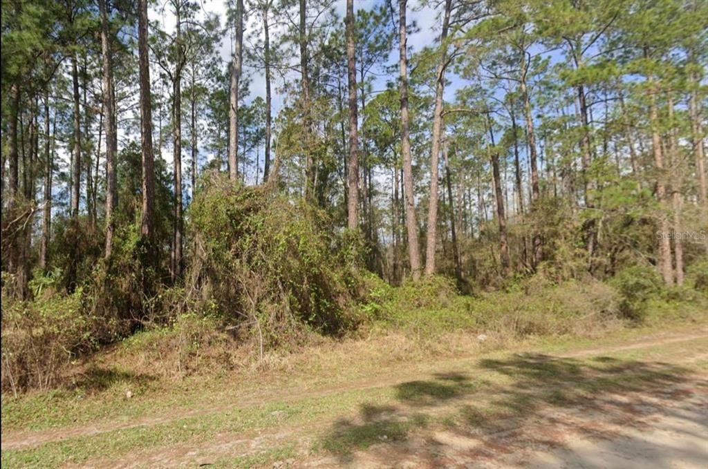 For Sale: $15,995 (0.41 acres)