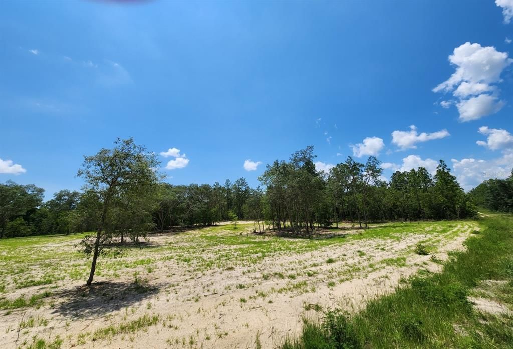 1.69-acres cleared, flat lot 241-ft X 305-ft