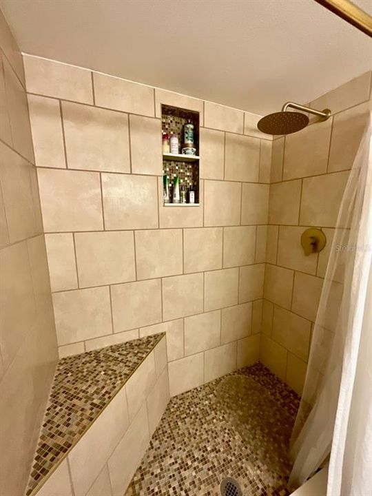 Primary bath step-in shower