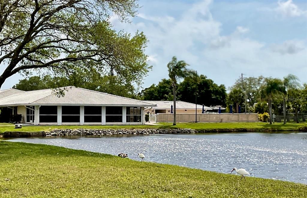 Clubhouse lake view and pool area