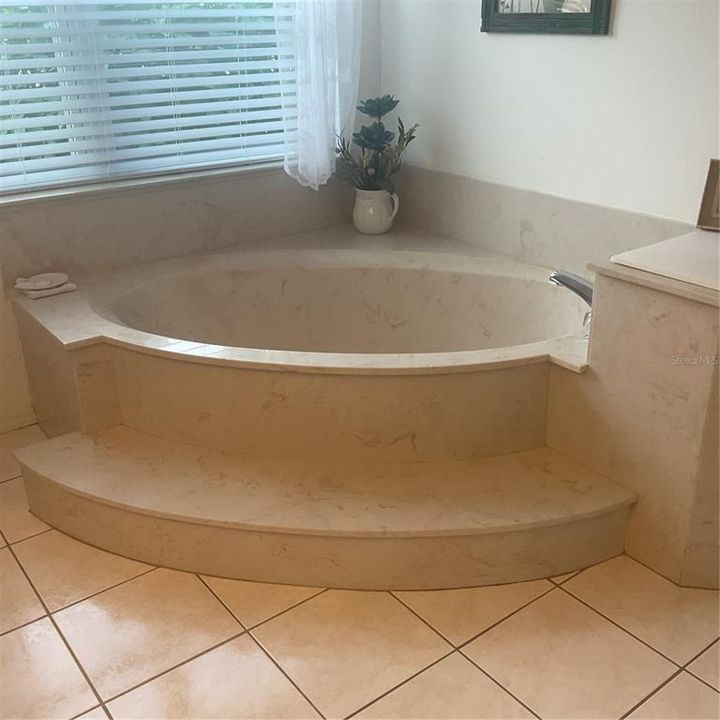 Primary bathroom tub